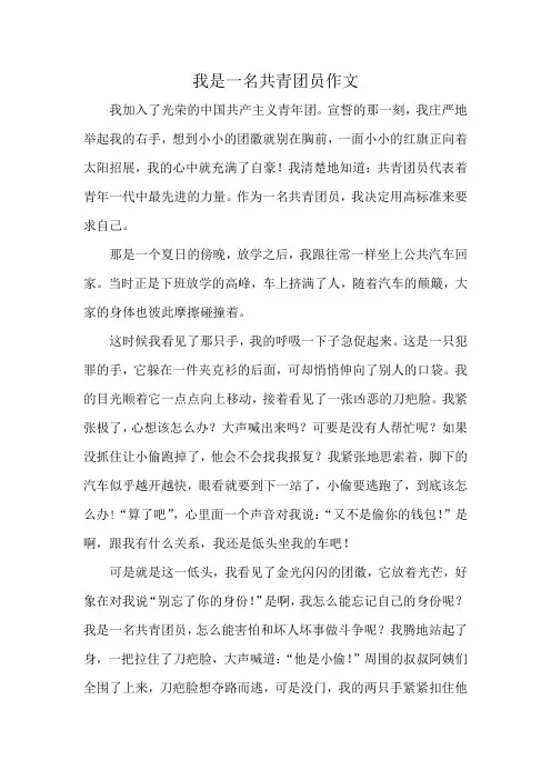 我是一名共青团员作文