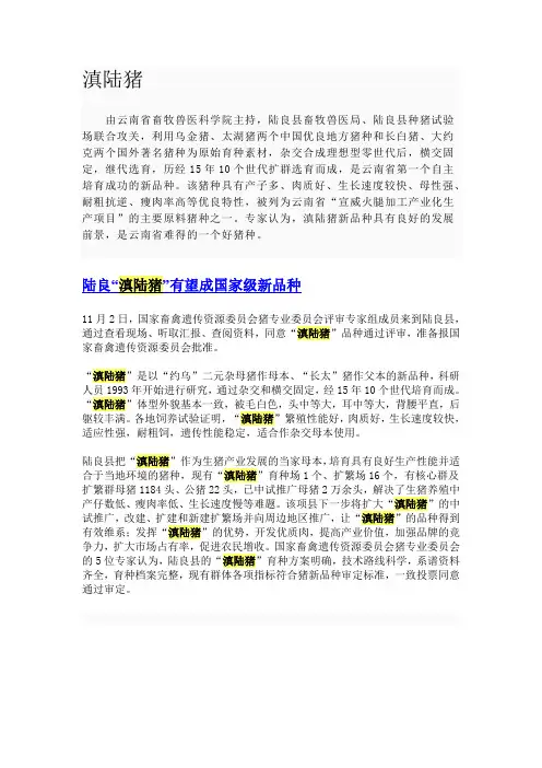 滇陆猪