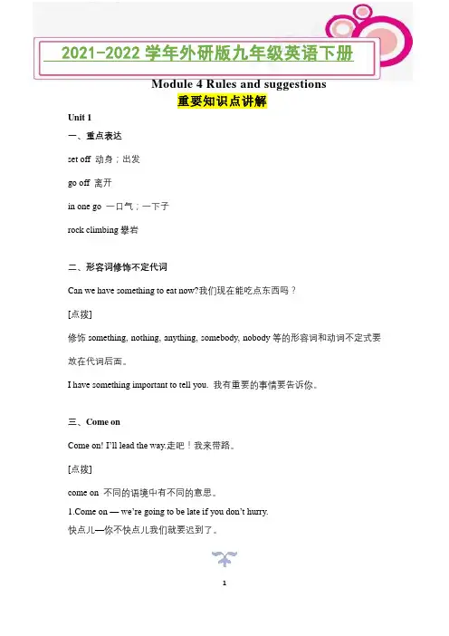 Module 4 重要知识点讲解2021-2022学年外研版九年级英语下册