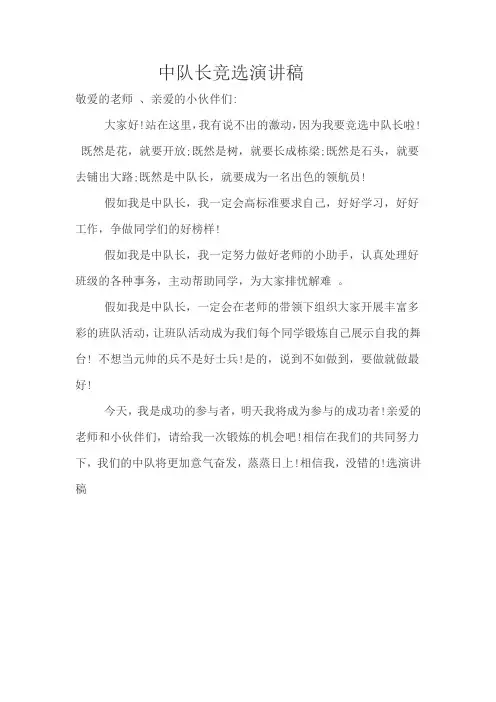 中队长竞选演讲稿 2