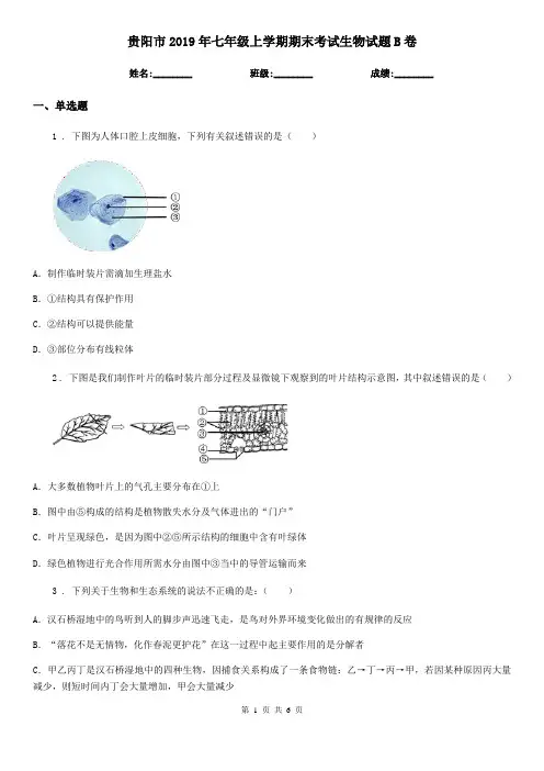 贵阳市2019年七年级上学期期末考试生物试题B卷-2