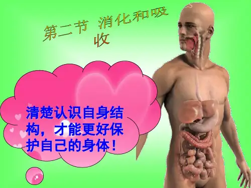人教版七年级下册2.2消化和吸收课件