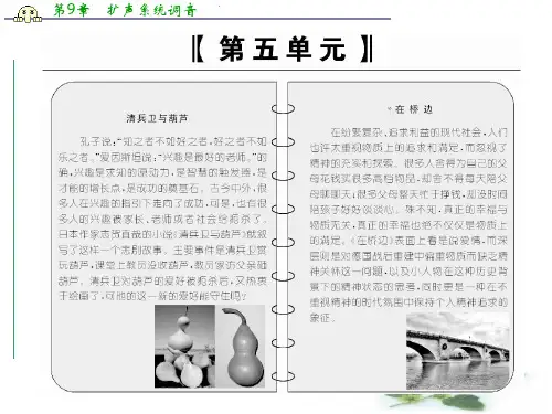高中语文人教选修《外国小说欣赏》课件：第五单元 第9课 清兵卫与葫芦