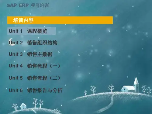 SAPSD模块