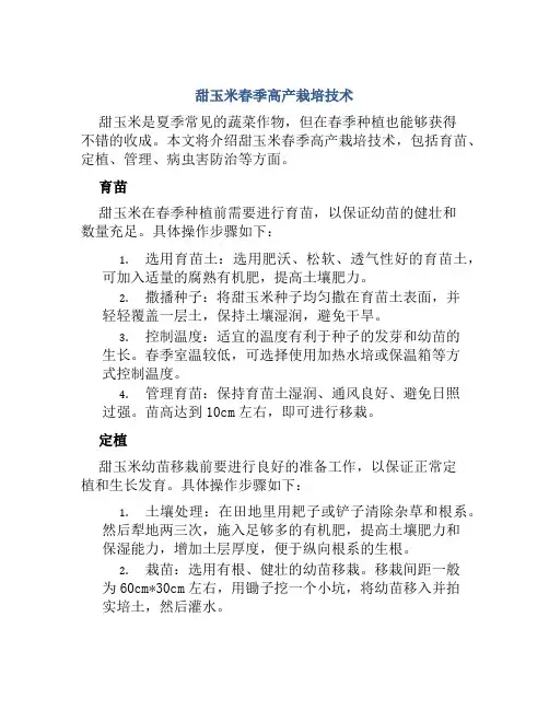 甜玉米春季高产栽培技术