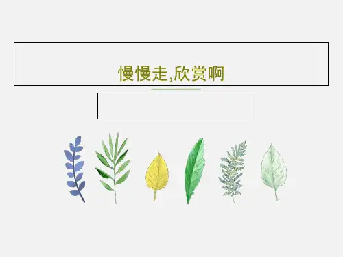 慢慢走,欣赏啊28页PPT