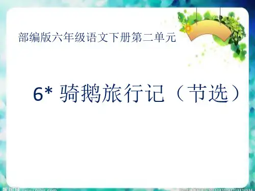 最新部编版语文六年级下册第二单元6课 骑鹅旅行记