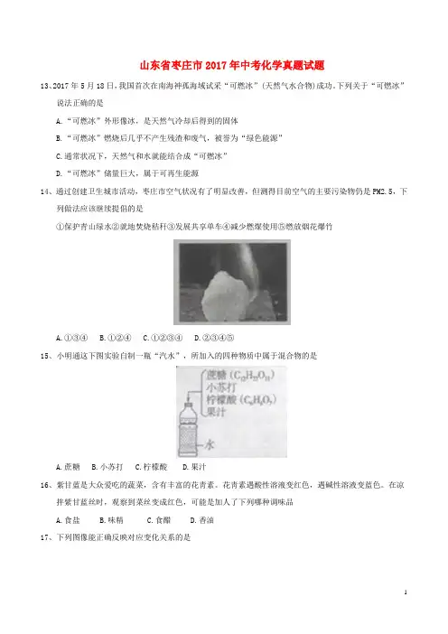 山东省枣庄市2017年中考化学真题试题含答案 精