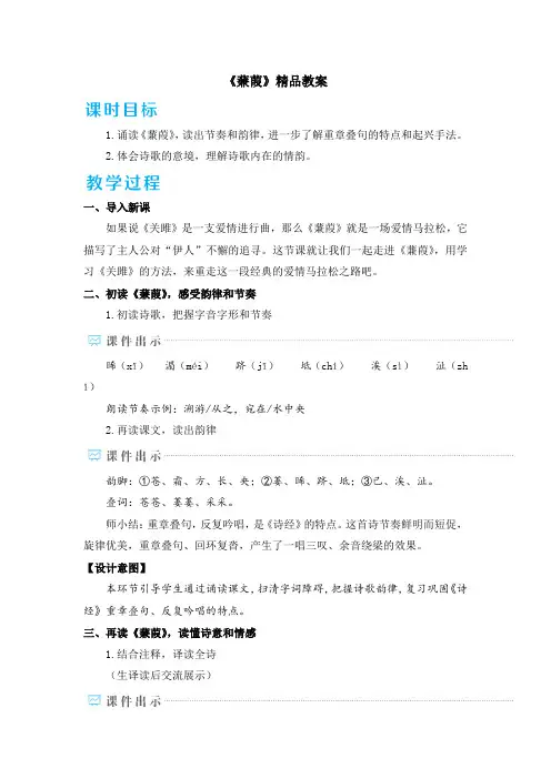 《蒹葭》精品教案