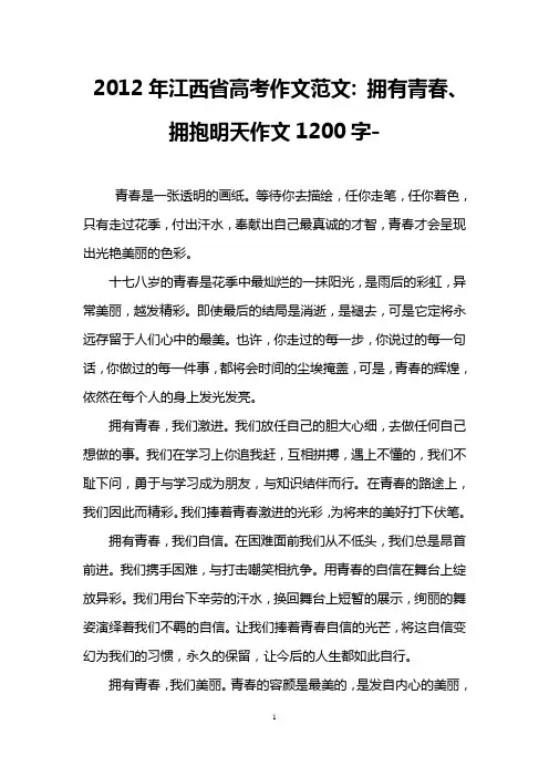 2012年江西省高考作文范文- 拥有青春、拥抱明天作文1200字-
