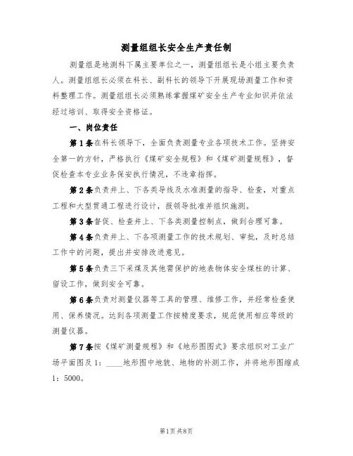 测量组组长安全生产责任制（5篇）