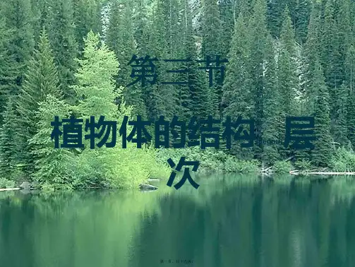七年级生物上册 第二单元 第二章《第三节 植物体的结构层次》课件 