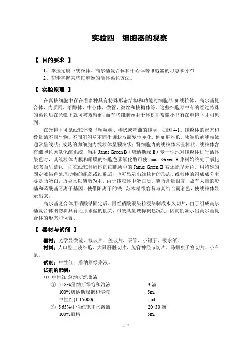 细胞器的观察