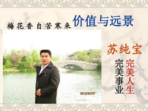 完美的价值与远景