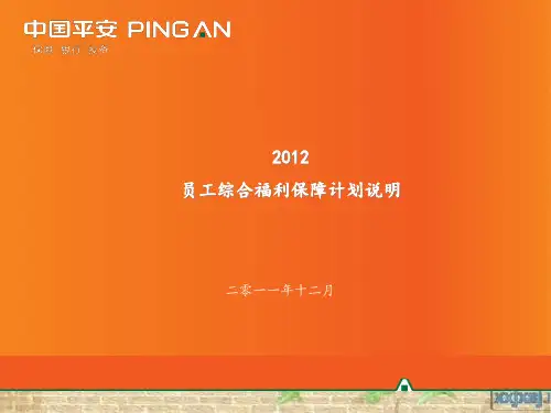 员工综合福利保障计划说明(ppt 38页)