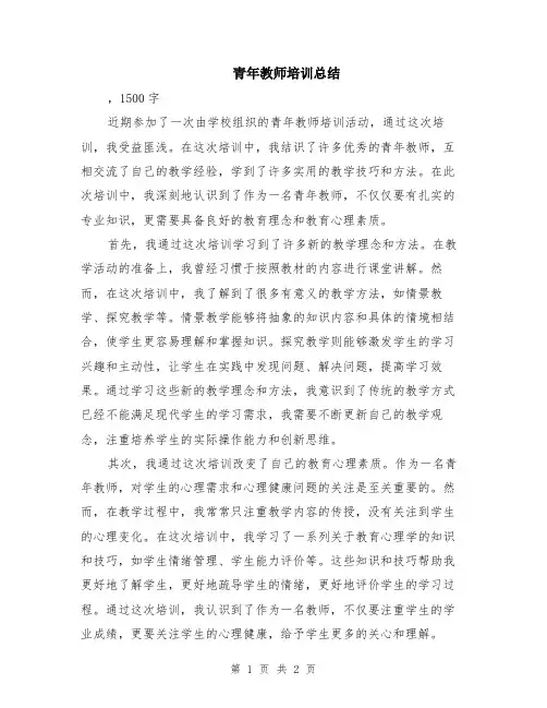 青年教师培训总结