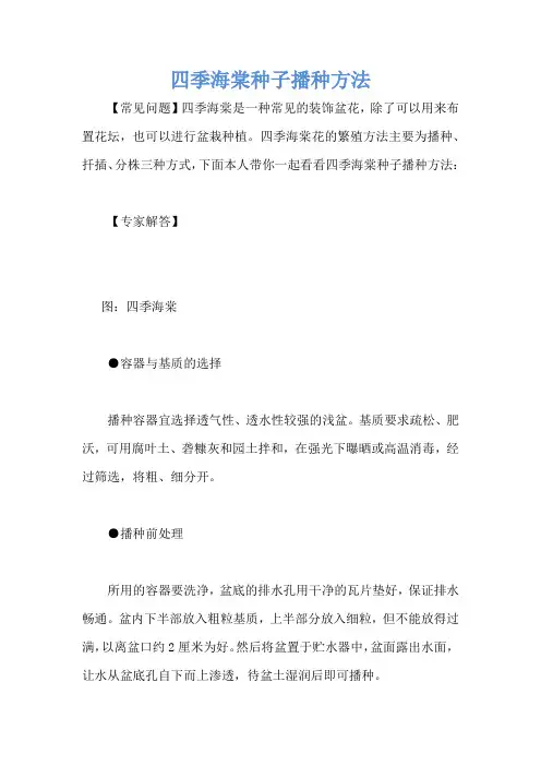 四季海棠种子播种方法