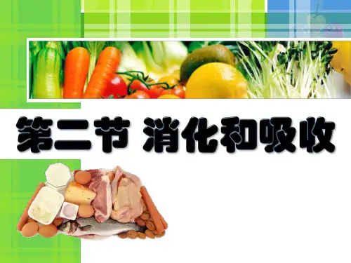 人教版七年级下册第二章第二节   消化和吸收 课件