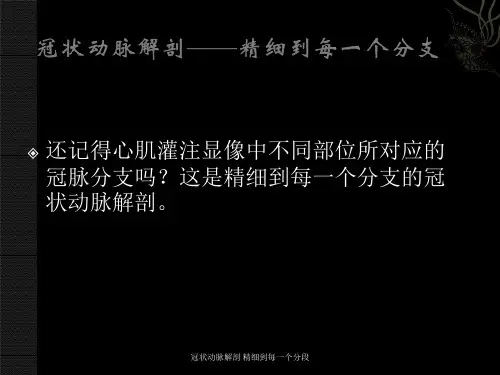 冠状动脉解剖 精细到每一个分段