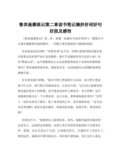 鲁宾逊漂流记第二章读书笔记摘抄好词好句好段及感悟