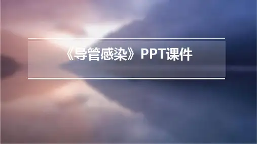 《导管感染》课件
