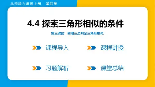 2023年北师大版九年级上册数学第四章图形的相似第4节第三课时利用三边判定三角形相似