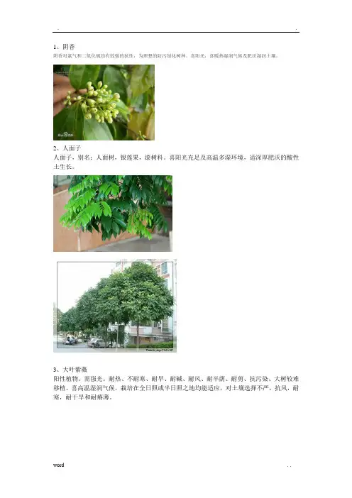广东常见园林植物