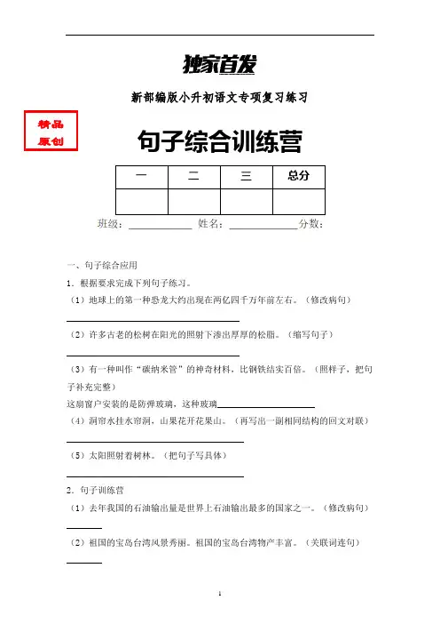 小升初语文句子综合训练专项练习含答案 (7)