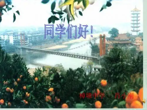 人教版物理九年级笫14章笫1节《压强》ppt课件