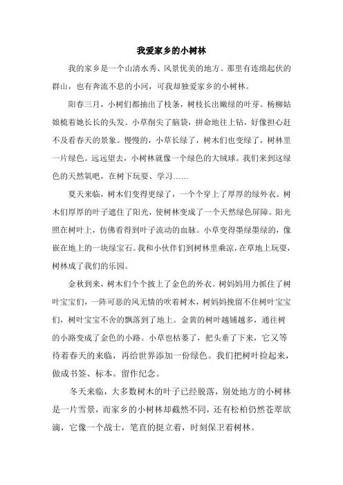 我爱家乡的小树林