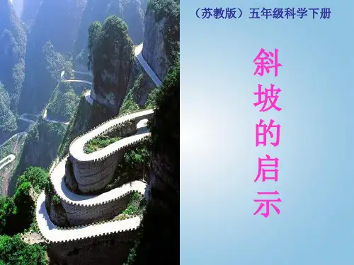 五年级下册科学斜坡的启示苏教版 (7)