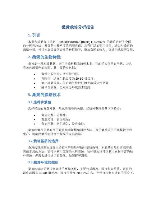 桑黄栽培分析报告