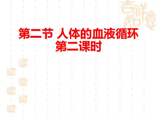 4人体的血液循环