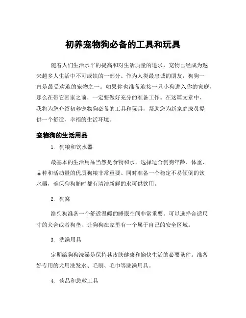 初养宠物狗必备的工具和玩具