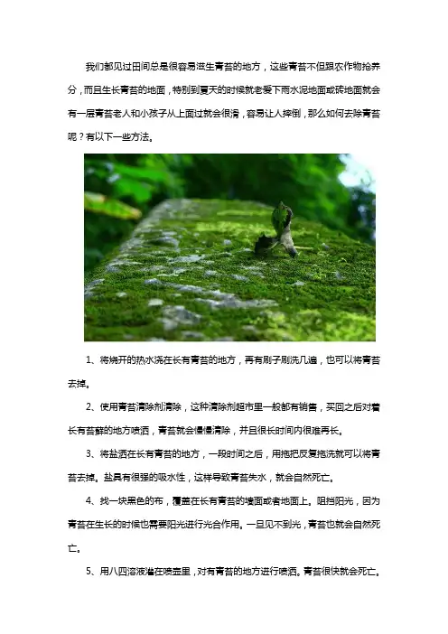 青苔多怎么办怎么去除青苔