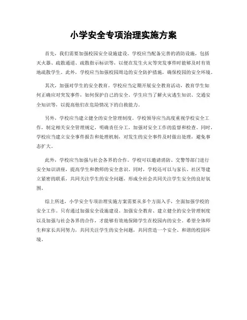 小学安全专项治理实施方案