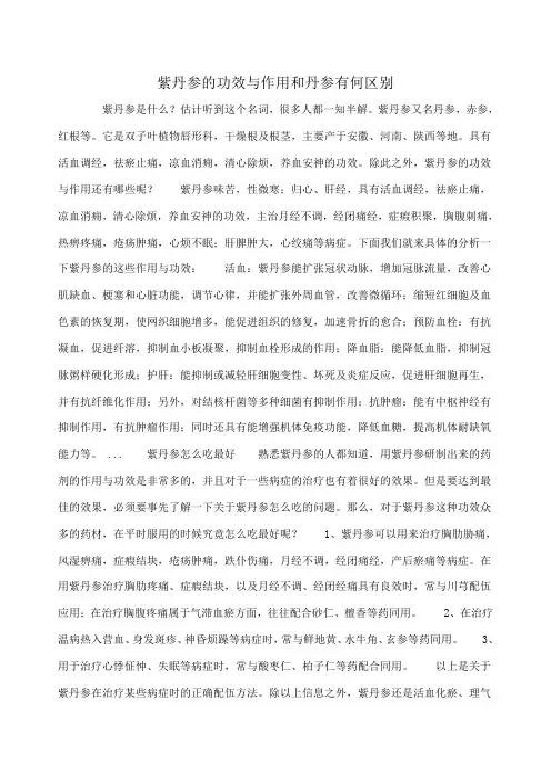 紫丹参的功效与作用和丹参有何区别