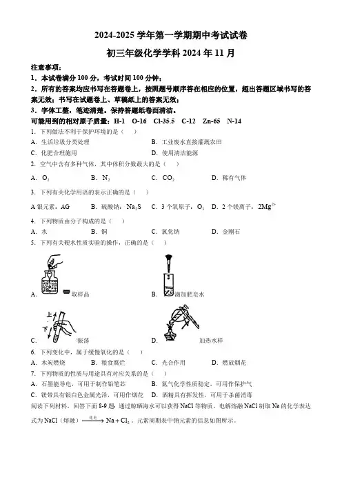 江苏省苏州市工业园区五校联考2024--2025学年九年级上学期11月期中考试化学试题(无答案)