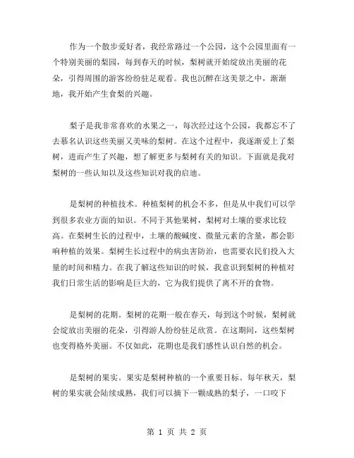我爱梨树作文范文