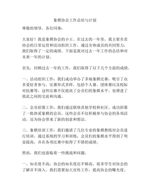 象棋协会工作总结与计划