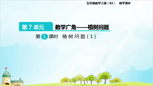 人教版五年级上册数学数学广角—植树问题