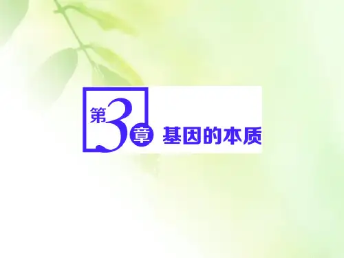 【精品推荐】(新教材)2019-2020新课程同步人教版高中生物必修二新学案课件：第3章 第1节 DNA是主要的遗