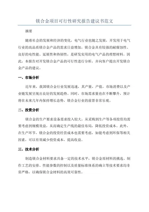 镁合金项目可行性研究报告建议书范文