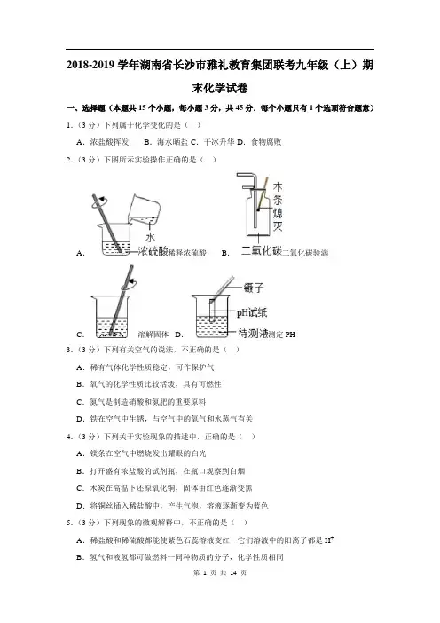 2018-2019学年湖南省长沙市雅礼教育集团联考九年级(上)期末化学试卷