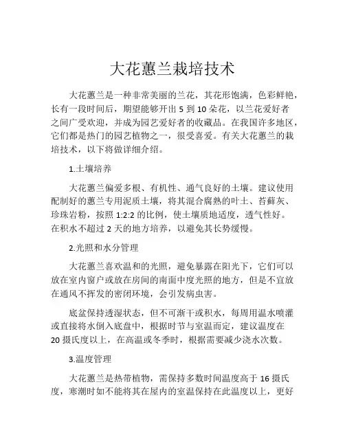 大花蕙兰栽培技术