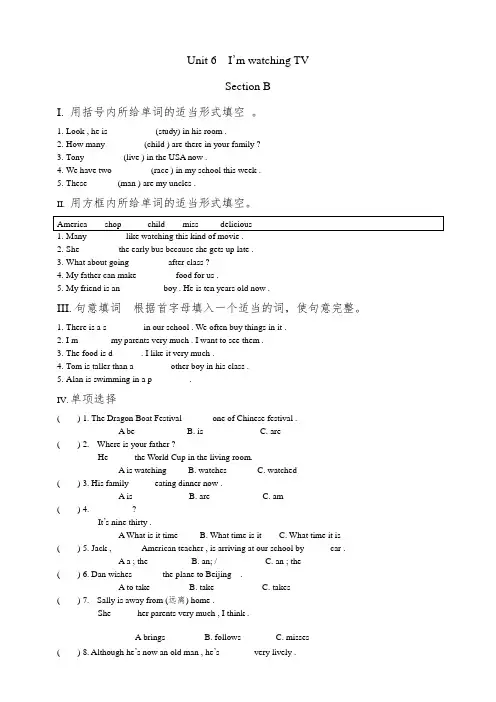 人教版英语七年级下册Unit 6 I‘m watching TV   Section B同步练习
