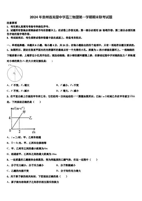 2024年贵州省龙里中学高三物理第一学期期末联考试题含解析