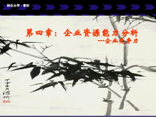 企业资源、能力与竞争优势(ppt 36页)
