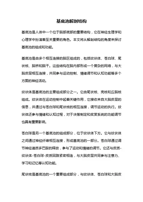 基底池解剖结构