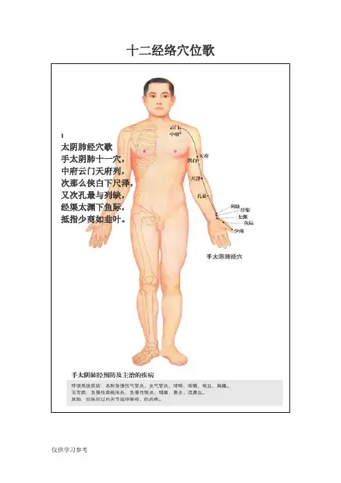 十二经络穴位歌